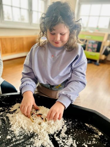 WhatsApp Image 2026-02-19 at 17.43.27 (1)