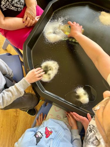 WhatsApp Image 2026-04-02 at 08.09.44 (2)