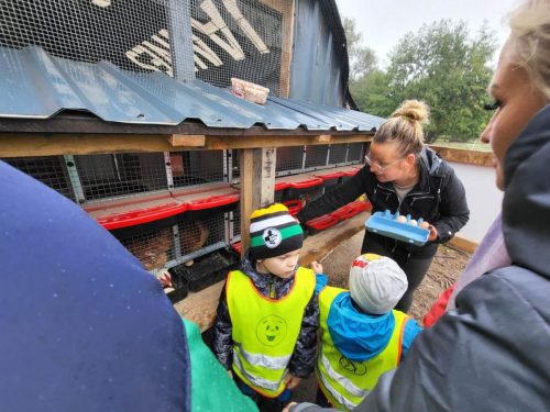 Zdjęcie WhatsApp 2025-10-08 o 14.41.01_a269eee9