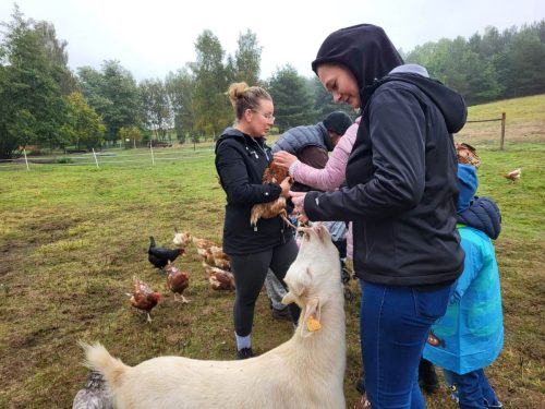 Zdjęcie WhatsApp 2025-10-08 o 14.41.07_5d187d7a