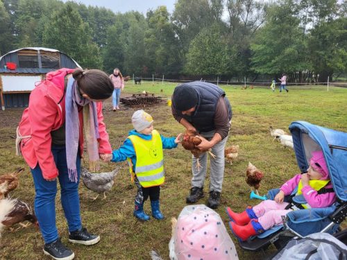 Zdjęcie WhatsApp 2025-10-08 o 14.41.09_7138149b