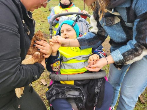 Zdjęcie WhatsApp 2025-10-08 o 15.01.41_0b5c3c91