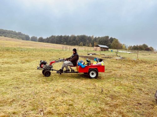 Zdjęcie WhatsApp 2025-10-08 o 15.01.47_740453f5