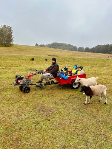 Zdjęcie WhatsApp 2025-10-08 o 15.01.48_1b040f37