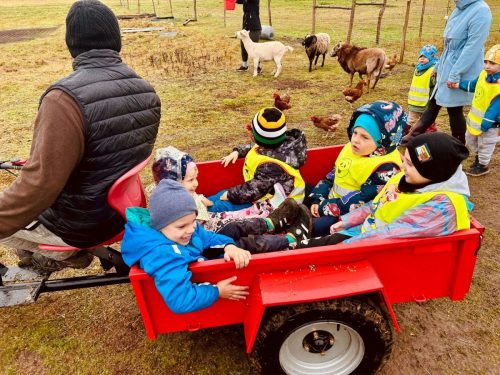 Zdjęcie WhatsApp 2025-10-08 o 15.01.51_3f65b7fb