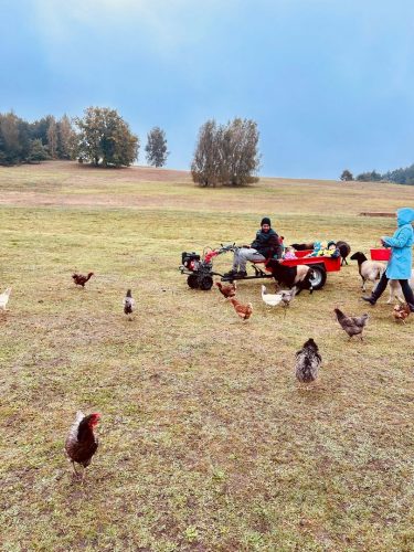 Zdjęcie WhatsApp 2025-10-08 o 15.01.51_455c7c45