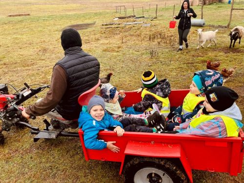 Zdjęcie WhatsApp 2025-10-08 o 15.01.51_582b273d