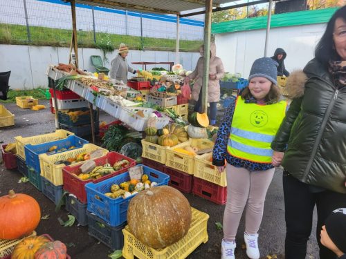 Zdjęcie WhatsApp 2025-10-28 o 11.09.30_0a17b09b