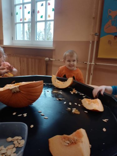 Zdjęcie WhatsApp 2025-10-30 o 10.47.44_532f9f11