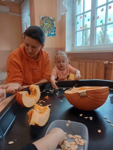 Zdjęcie WhatsApp 2025-10-30 o 10.47.44_96a5d6be