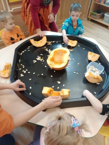 Zdjęcie WhatsApp 2025-10-30 o 10.47.44_a34aa0dd