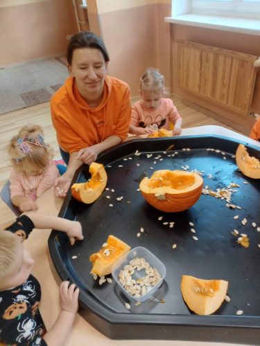 Zdjęcie WhatsApp 2025-10-30 o 10.47.44_b7ba591f