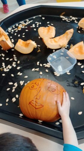 Zdjęcie WhatsApp 2025-10-30 o 10.47.44_d5e39c0e